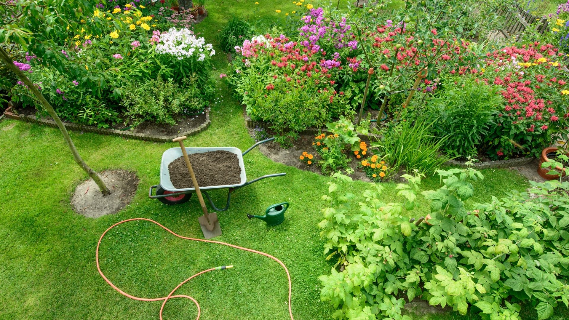 Jardinage à Domicile Tarif : Astuce Pour Payer Moins Cher